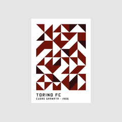 Toro